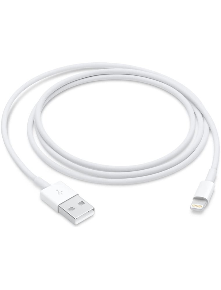 Cable de Carga Apple MXLY2ZM/A de conector Lightning a USB 2.0/ 1m